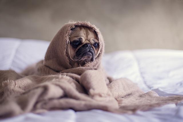 stretch in bed