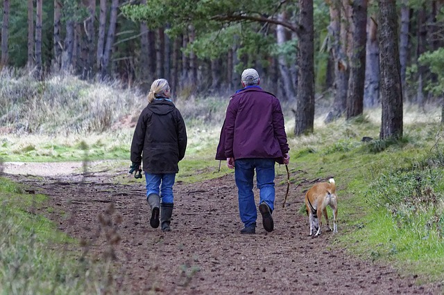 walking spinal health