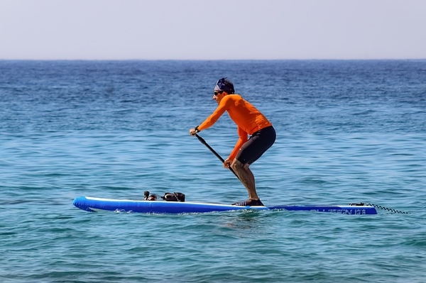 paddleboarding-doucher-3710064_640