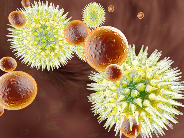 bigstock-Virus-Vs-Immune-System-21279029