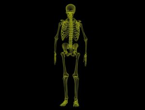 Lumbar Pressure